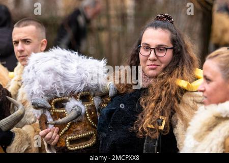 Breznik, Bulgarien - 21. Januar 2023: Maskenfestival in Breznik, Bulgarien. Menschen mit einer Maske namens Kukeri tanzen und treten auf, um das Böse zu erschrecken Stockfoto