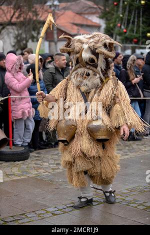 Breznik, Bulgarien - 21. Januar 2023: Maskenfestival in Breznik, Bulgarien. Menschen mit einer Maske namens Kukeri tanzen und treten auf, um das Böse zu erschrecken Stockfoto