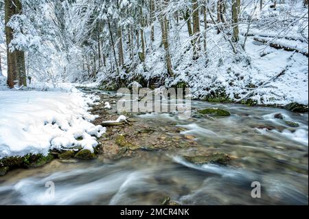 Waldgebirge im Winter. "Hylaty"-Bach in den Bieszczady Mountains in Karpaten. Beliebtes polnisches Reiseziel. Stockfoto