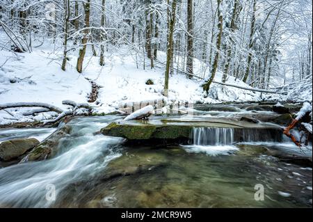 Waldgebirge im Winter. "Hylaty"-Bach in den Bieszczady Mountains in Karpaten. Beliebtes polnisches Reiseziel. Stockfoto