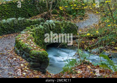 Eine alte Steinbrücke auf dem Weg nach Millerground am Ufer des Lake Winderrmere Stockfoto