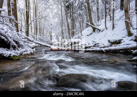 Waldgebirge im Winter. "Hylaty"-Bach in den Bieszczady Mountains in Karpaten. Beliebtes polnisches Reiseziel. Stockfoto