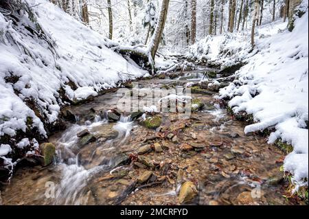 Waldgebirge im Winter. "Hylaty"-Bach in den Bieszczady Mountains in Karpaten. Beliebtes polnisches Reiseziel. Stockfoto