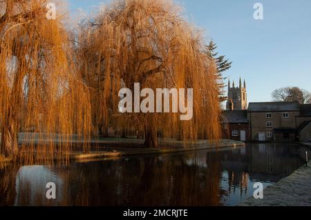 Bourne, Lincolnshire, 22. Januar 2023. UK Weather: Die Sonne färbt die weinenden Weiden an einem frostigen Wintermorgen in der Marktstadt Lincolnshire in Bourne, Großbritannien, goldfarben. 22. Januar 2023. Vereinigtes Königreich. Kredit: Jonathan Clarke/Alamy Live News Stockfoto