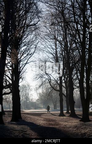 Bourne, Lincolnshire, 22. Januar 2023. UK Weather: Eine Person, die an einem Wintermorgen in der Marktstadt Lincolnshire in Bourne, Großbritannien, durch die frostigen Brunnengärten spaziert. 22. Januar 2023. Vereinigtes Königreich. Kredit: Jonathan Clarke/Alamy Live News Stockfoto