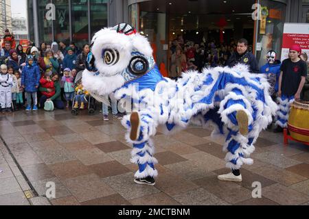 Cardiff, Großbritannien. 21. Januar 2023 Traditioneller chinesischer Löwentanz zum chinesischen Neujahrsfest und Laternen Festival Celebrations in Cardiff Library, 21.01.23, Credit Penallta Photographics / Alamy Live Stockfoto