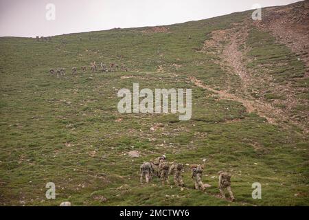 11. Soldaten der Airborne Division sowie Mountaineering-Lehrer vom Northern Warfare Training Center wechseln während der letzten 1300ft Jahre auf einer 5000ft km langen Wanderung zum „Grassy Knoll“ während des Basic and Advanced Military Mountaineering Kurses auf der Black Rapids Training Site am 9. Juli den Rücken. Der Zweck des 14-tägigen Kurses besteht darin, Soldaten darin zu trainieren, wie man sich durch bergiges Gelände manövriert, und dann zurück zu ihren Einheiten zu gehen und den Einheiten Soldaten zur Verfügung zu stellen, die in der Lage sind, das bergige Gelände von Alaska zu überqueren. (Foto von Staff Sgt. Christopher Dennis/11. Airborne Division Public Affair Stockfoto