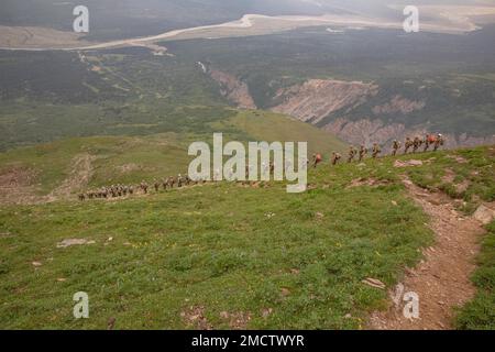 11. Soldaten der Airborne Division beginnen zusammen mit Mountaineering-Ausbildern vom Northern Warfare Training Center den Abstieg um 5000ft Uhr von „Grassy Knoll“ während des Basic and Advanced Military Mountaineering Kurses am Black Rapids Training Site, 9. Juli. Der Zweck des 14-tägigen Kurses besteht darin, Soldaten darin zu trainieren, wie man sich durch bergiges Gelände manövriert, und dann zurück zu ihren Einheiten zu gehen und den Einheiten Soldaten zur Verfügung zu stellen, die in der Lage sind, das bergige Gelände von Alaska zu überqueren. (Foto von Staff Sgt. Christopher Dennis/11. Airborne Division Public Affairs NCO) Stockfoto