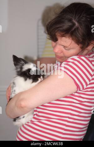 Lionhead Rabbit in den Armen eines Women Hook Norton Oxfordshire England großbritannien Stockfoto