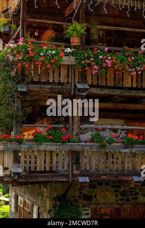Alte Bauernhäuser mit Blumendekorationen im Dorf Sottoguda in der Nähe von Rocca Pietore Rocia, Val Pettorina, Dolomiten, Belluno Province, Veneto, Italien Stockfoto