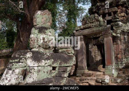 Große mehrköpfige Skulptur in der Nähe des South Gate Tower, Angkor Thom in Angkor in Siem Riep in Kambodscha Stockfoto