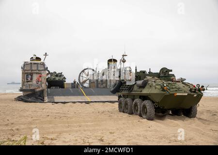 220711-N-YG415-1119 CAMP PENDLETON, KALIFORNIEN (11. Juli 2022) – ein Amphibienfahrzeug (ACV) mit dem 3D. Assault Amphibian Battalion, 1. Marine Division, und ein Landungsfahrzeug, Luftkissen (LCAC), das der Assault Craft Unit (ACU) 5 zugewiesen wurde, sitzen am Strand von Camp Pendleton, Juli 11. ACVs, die bei amphibischen Operationen eingesetzt werden, verstärken das Marine-Marine-Corps-Team, um in einer realistischen Umgebung mit kombinierten Waffen zu arbeiten und die Kampftaktiken, -Techniken und -Verfahren der Marine zu verbessern. Makin Island führt derzeit Routineeinsätze in der US-3.-Flotte durch. Stockfoto