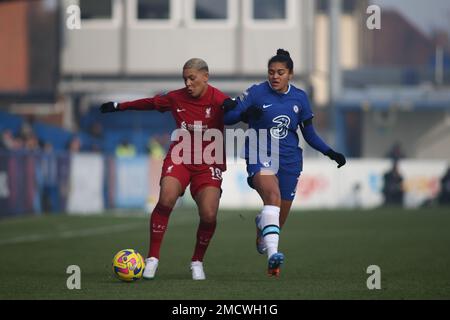 London, Großbritannien. 22. Januar 2023. London, Januar 22. 2023: Shanice van de Sanden (19 Liverpool) und Jess Carter (7 Chelsea) beim Barclays FA Womens Super League-Spiel zwischen Chelsea und Liverpool in Kingsmeadow, London, England. (Pedro Soares/SPP) Kredit: SPP Sport Press Photo. Alamy Live News Stockfoto