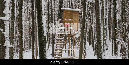 Ein hoher Sitz im verschneiten Wald Stockfoto
