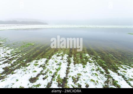 Blick auf einen nebligen Tag auf einem ländlichen Feld, das von schmelzendem Schnee überflutet wurde, Ostpolen Stockfoto