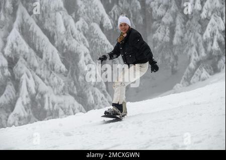 Deuselbach, Deutschland. 22. Januar 2023. Petra Zehnpfennig fährt von Konz aus die Skipiste der Erbeskopf (816 m) auf ihrem Snowboard hinab. Es schneite am Wochenende bis in die Täler von Rheinland-Pfalz. Kredit: Harald Tittel/dpa/Alamy Live News Stockfoto