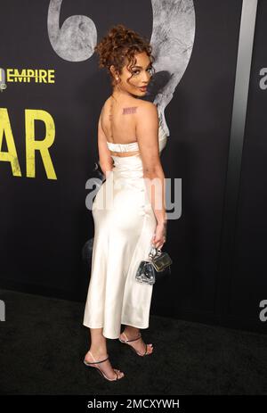 LOS ANGELES, Kalifornien - 21. JANUAR: DaniLeigh auf der Weltpremiere der Angst bei der Directors Guild of America in Los Angeles, Kalifornien, am 21. Januar 2023. Kredit: Walik Goshorn/MediaPunch Stockfoto