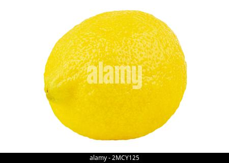 Zitronenfrucht ganze Frucht, isoliert auf weißem Hintergrund. Datei enthält Beschneidungspfad. Volle Schärfentiefe. Stockfoto