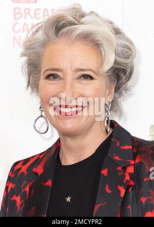 London, Großbritannien. 20. Januar 2023. London, Großbritannien. Emma Thompson nimmt an den Inspiration Awards for Women im Landmark Hotel, London, England Teil. Kredit: S.A.M./Alamy Live News Stockfoto