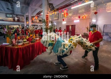 22. Januar 2023, Kalkutta, Westbengalen, Indien: Die chinesische Gemeinde in Kalkutta feiert das chinesische Neujahr. Die Menschen der chinesischen Gemeinschaft, die in Kalkutta leben, bereiten sich darauf vor, ihr neues Jahr einzuläuten, das ab heute, also ab dem 22. Januar, begonnen hat. Sie markiert den Beginn des Frühlings und den Beginn eines neuen Jahres, laut dem chinesischen Mondkalender. Chinesische Künstler führen Drachentanz auf, um das chinesische Neujahr in Kalkutta zu feiern. (Kreditbild: © Saurabh Sirohiya/ZUMA Press Wire) NUR REDAKTIONELLE VERWENDUNG! Nicht für den kommerziellen GEBRAUCH! Stockfoto