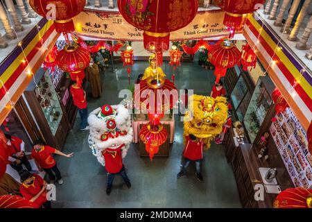 22. Januar 2023, Kalkutta, Westbengalen, Indien: Die chinesische Gemeinde in Kalkutta feiert das chinesische Neujahr. Die Menschen der chinesischen Gemeinschaft, die in Kalkutta leben, bereiten sich darauf vor, ihr neues Jahr einzuläuten, das ab heute, also ab dem 22. Januar, begonnen hat. Sie markiert den Beginn des Frühlings und den Beginn eines neuen Jahres, laut dem chinesischen Mondkalender. Chinesische Künstler führen Drachentanz auf, um das chinesische Neujahr in Kalkutta zu feiern. (Kreditbild: © Saurabh Sirohiya/ZUMA Press Wire) NUR REDAKTIONELLE VERWENDUNG! Nicht für den kommerziellen GEBRAUCH! Stockfoto