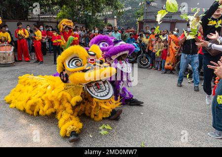 Kalkutta, Westbengalen, Indien. 22. Januar 2023. Die chinesische Gemeinde in Kalkutta ist bereit, das chinesische Neujahr zu feiern. Die Menschen der chinesischen Gemeinschaft, die in Kalkutta leben, bereiten sich darauf vor, ihr neues Jahr einzuläuten, das ab heute, also ab dem 22. Januar, begonnen hat. Sie markiert den Beginn des Frühlings und den Beginn eines neuen Jahres, laut dem chinesischen Mondkalender. Chinesische Künstler führen Drachentanz auf, um das chinesische Neujahr in Kalkutta zu feiern. (Kreditbild: © Saurabh Sirohiya/ZUMA Press Wire) NUR REDAKTIONELLE VERWENDUNG! Nicht für den kommerziellen GEBRAUCH! Stockfoto