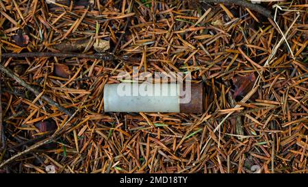 Ein alter, gebrauchter und rostiger Kartuschenkoffer im Wald. Stockfoto