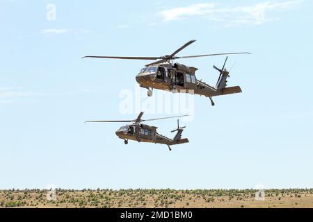 BABADAG-TRAININGSBEREICH, Rumänien-- UH-60 Black Hawks zugewiesen zu 3-227 AHB Fly Overhead während des Personal-Recovery-Trainings mit dem 140. Expeditionary Air Wing in Großbritannien, 12. Juli 2022. Regelmäßige Interoperabilitätsschulungen mit NATO-Partnern und -Verbündeten schaffen Vertrauen und Bereitschaft und erhöhen die Abschreckungs- und Verteidigungskapazitäten. Stockfoto