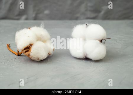 Echte und gefälschte Baumwollblumen auf grauem Hintergrund, Nahaufnahme mit weichem Fokus Stockfoto