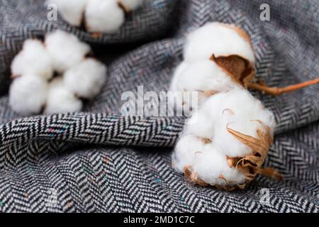 Fischgrätenmuster, auch gebrochenes Twill-Gewebe genannt, Webmuster, die in der Regel in Twill-Stoff zu finden sind, mit Baumwollblumen, weicher Fokus Nahaufnahme Stockfoto