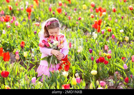 Kind im Tulpenblumenfeld. Ein kleines Mädchen schneidet frische Tulpen in einem sonnigen Sommergarten. Kind mit Blumenstrauß zum Muttertag oder Geburtstagsgeschenk. Stockfoto