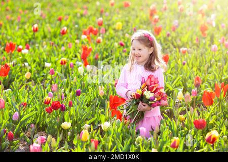 Kind im Tulpenblumenfeld. Ein kleines Mädchen schneidet frische Tulpen in einem sonnigen Sommergarten. Kind mit Blumenstrauß zum Muttertag oder Geburtstagsgeschenk. Stockfoto