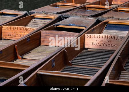 Traditionelle Punts on the River Cam, Cambridge, Cambridgeshire, England, Großbritannien Stockfoto