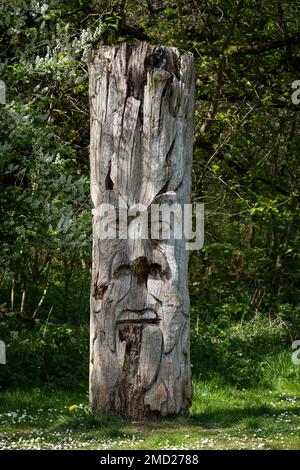 Geschnitztes Gesicht auf Baumstump, Rivacre Valley Country Park, Ellesmere Port, Cheshire, England, Großbritannien Stockfoto