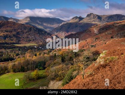 Great Langdale Valley und Langdale Pikes im Herbst, Lake District National Park, Cumbria, England, Großbritannien Stockfoto