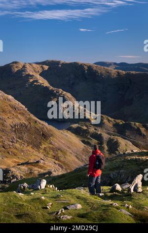 Wanderer mit Blick auf Wetherlam, Levers Water und die Coniston Fells vom Old man of Coniston, Lake District National Park, Cumbria, England, UK Stockfoto