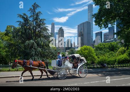 Pferdekutschfahrt durch den Central Park mit New York City dahinter, Central Park, New York, USA Stockfoto