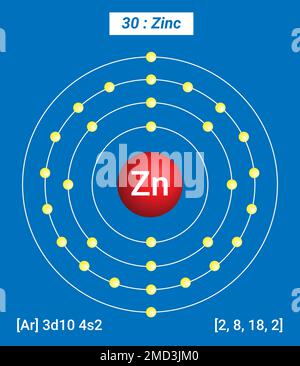 ZN Zink, Periodische Tabelle der Elemente, Schalenstruktur von Zink – Elektronen pro Energiepegel Stock Vektor