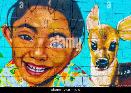 Playa del Carmen Mexiko 26. März 2021 Kunstmauern mit Gemälden und Graffiti in Playa del Carmen Quintana Roo Mexiko. Stockfoto