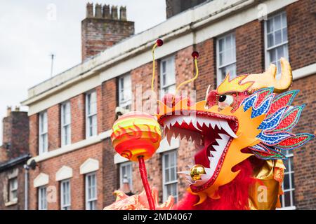 Nahaufnahme des Drachen, der die Perle während des traditionellen Drachentanzes jagte, der anlässlich des chinesischen Neujahrs in Liverpool im Januar 2023 abgebildet wurde. Stockfoto