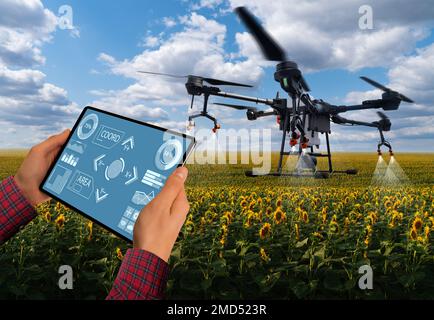 Der Landwirt steuert das Drohnenspray mit einem Tablet. Intelligente Landwirtschaft und Präzisionslandwirtschaft Stockfoto