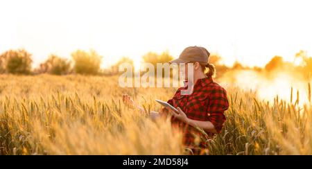 Eine Frau Bauer untersucht den Bereich der Getreide- und sendet die Daten an die Wolke aus der Tablette. Smart Farming und digitale Landwirtschaft. Stockfoto