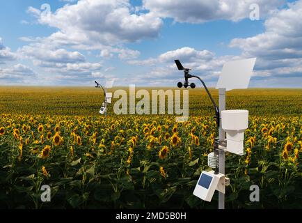 Wetterstationen auf einem Sonnenblumenfeld. Precision-Farming-Geräte Stockfoto