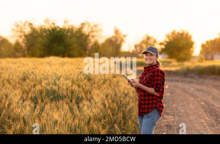 Eine Frau Bauer untersucht den Bereich der Getreide- und sendet die Daten an die Wolke aus der Tablette. Smart Farming und digitale Landwirtschaft. Stockfoto