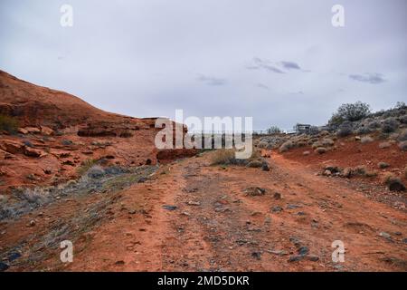 Chuckawalla und Turtle Wall Trail Wüstenwanderungen mit Blick auf Cliffs National Conservation Area Wilderness, Snow Canyon State Park St George, Utah, United Sta Stockfoto