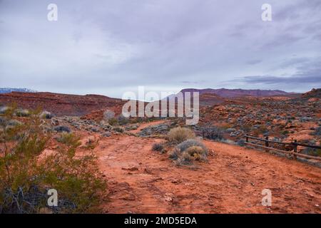 Chuckawalla und Turtle Wall Trail Wüstenwanderungen mit Blick auf Cliffs National Conservation Area Wilderness, Snow Canyon State Park St George, Utah, United Sta Stockfoto