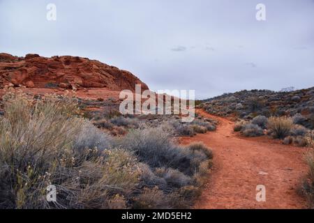 Chuckawalla und Turtle Wall Trail Wüstenwanderungen mit Blick auf Cliffs National Conservation Area Wilderness, Snow Canyon State Park St George, Utah, United Sta Stockfoto