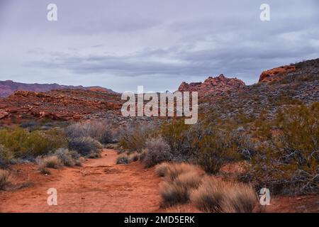 Chuckawalla und Turtle Wall Trail Wüstenwanderungen mit Blick auf Cliffs National Conservation Area Wilderness, Snow Canyon State Park St George, Utah, United Sta Stockfoto