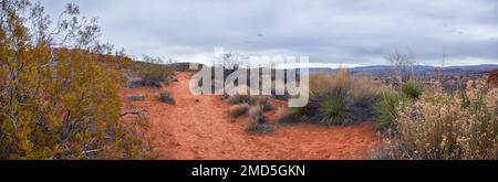 Chuckawalla und Turtle Wall Trail Wüstenwanderungen mit Blick auf Cliffs National Conservation Area Wilderness, Snow Canyon State Park St George, Utah, United Sta Stockfoto