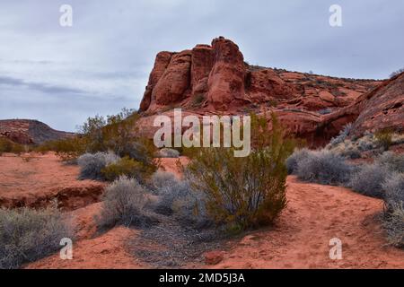 Chuckawalla und Turtle Wall Trail Wüstenwanderungen mit Blick auf Cliffs National Conservation Area Wilderness, Snow Canyon State Park St George, Utah, United Sta Stockfoto